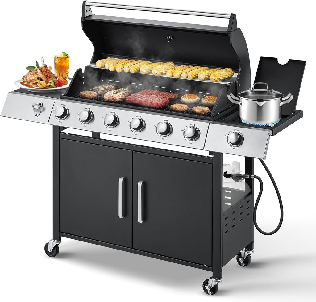 6-Burner Stainless Propane Grill
