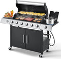 6-Burner Stainless Propane Grill